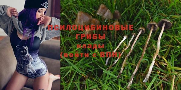 амф Дмитриев