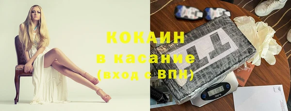 амф Дмитриев