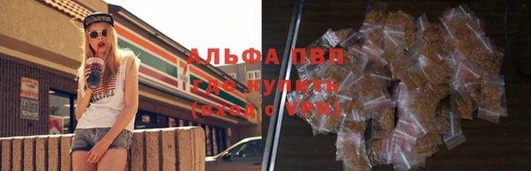 амф Дмитриев