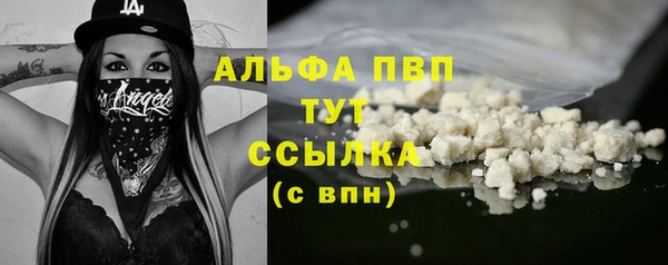 амф Дмитриев