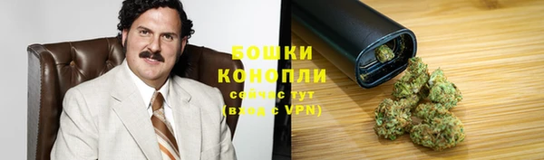 прущие крисы Дмитровск