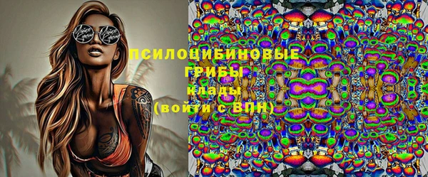 амф Дмитриев