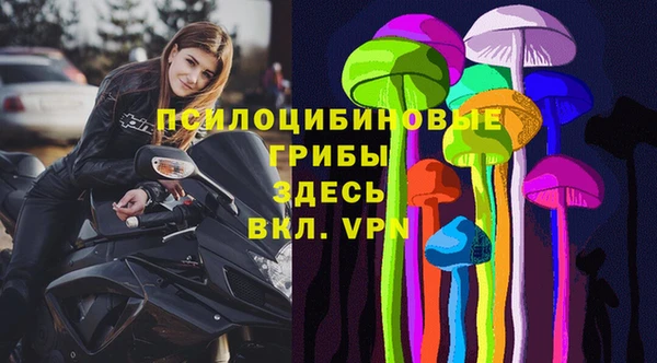 прущие крисы Дмитровск