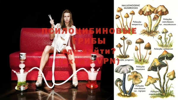 амф Дмитриев