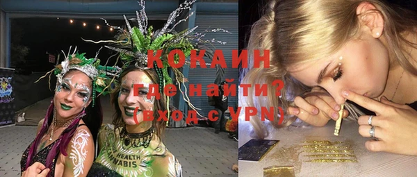 амф Дмитриев