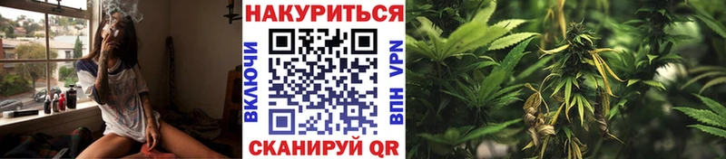 Бошки марихуана гибрид купить сайты ОМГ ОМГ ТОР Петухово